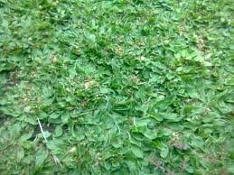images_008